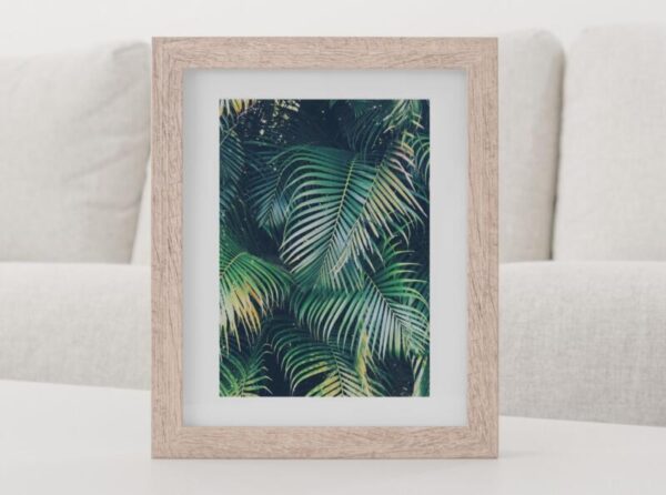 Kunstdrucke Artprint Botanik