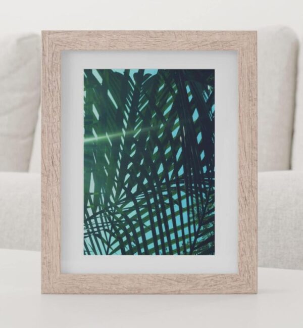 Kunstdrucke Artprint Botanik