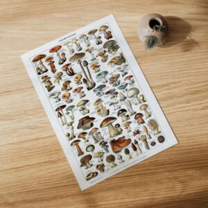 Kunstdrucke champions Illustration