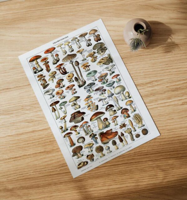 Kunstdrucke champions Illustration