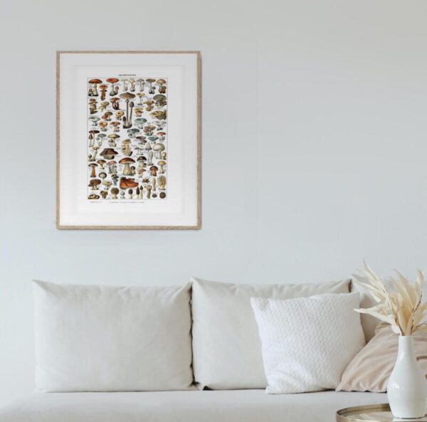 Kunstdrucke champions Illustration