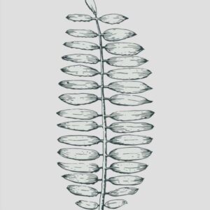 Kunstdrucke Art-Print Artprint