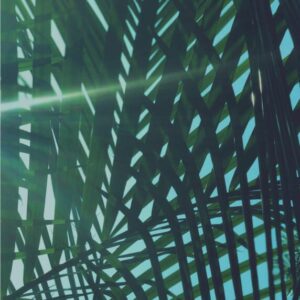 Kunstdrucke Artprint Botanik