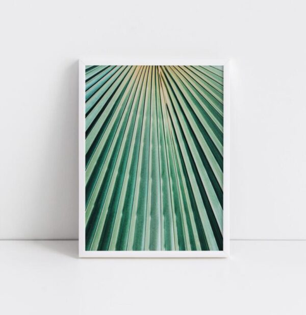 Kunstdrucke Abstrakt exotisch Abstrakt