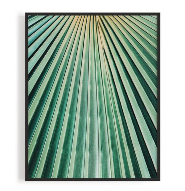 Kunstdrucke Abstrakt exotisch Abstrakt