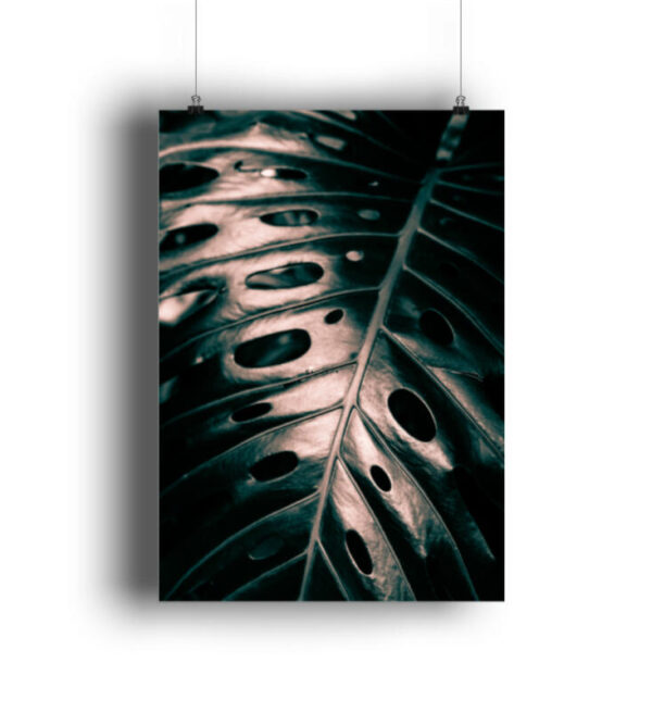 Kunstdrucke exotisch jungle