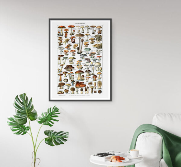 Kunstdrucke champions Illustration