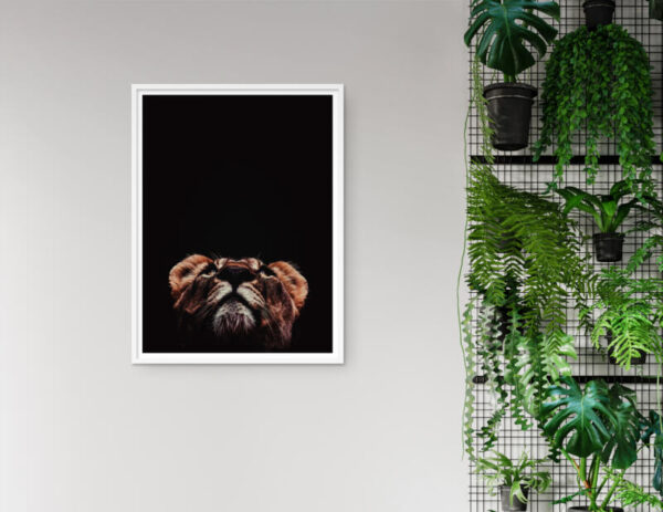 Kunstdrucke Afrika Loewe