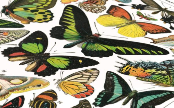 Kunstdrucke Illustration lernposter