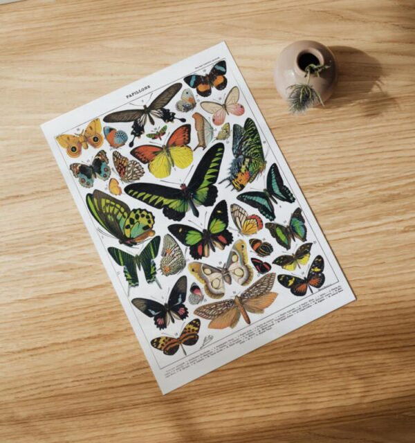 Kunstdrucke Illustration lernposter