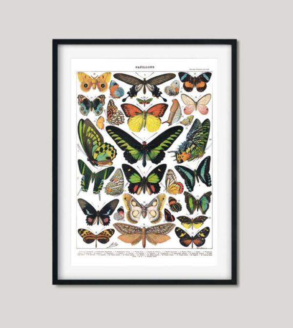 Kunstdrucke Illustration lernposter