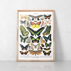 Kunstdrucke Illustration lernposter