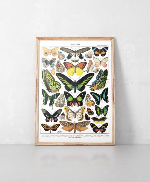 Kunstdrucke Illustration lernposter