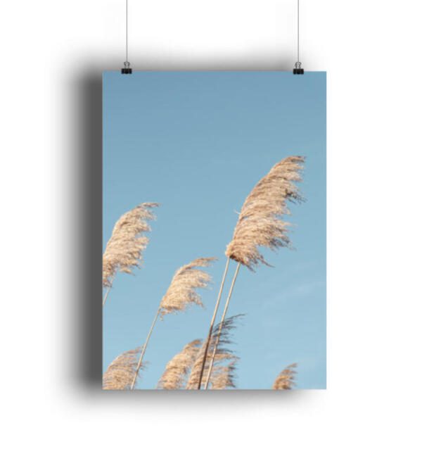 Gräser im Wind - DIN A1 Poster (hochformat)-3