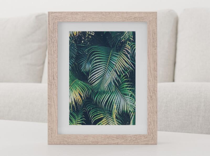 Wandbild Kunstdruck Monstera Botanik – Bild 2