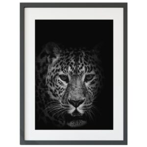 Kunstdrucke Afrika leopard
