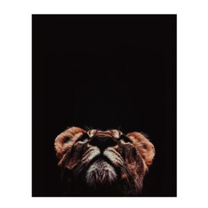 Kunstdrucke Afrika Loewe