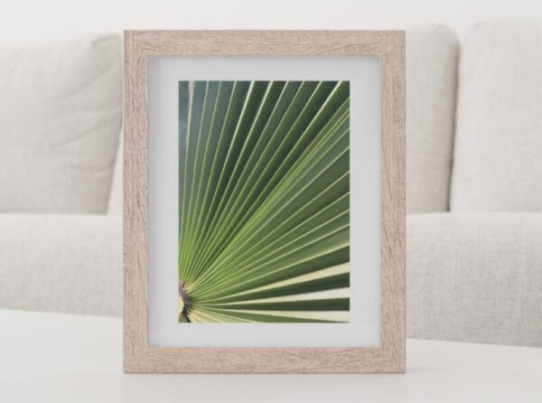 Kunstdrucke Artprint Botanik