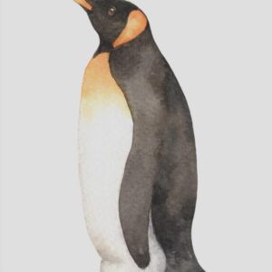 Kunstdrucke Aquarell Art-Print Aquarell