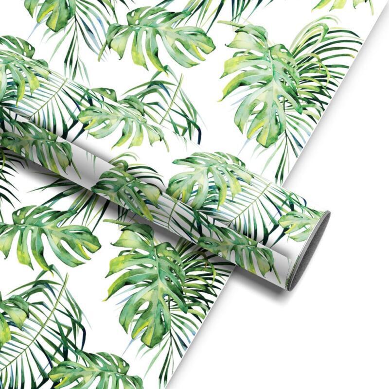 philodendron silver sword variegated Philodendron Silver Sword Variegated 3” main image 0